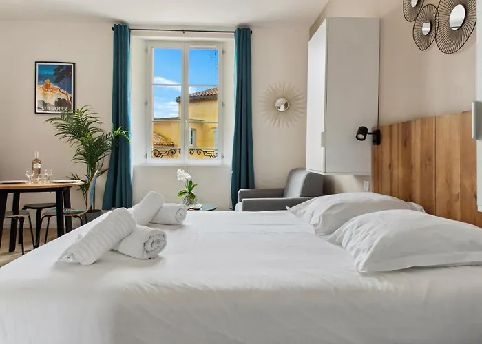 Chic - Climatise - 2 Pas Du Port - Place Aux Herbes Apartment